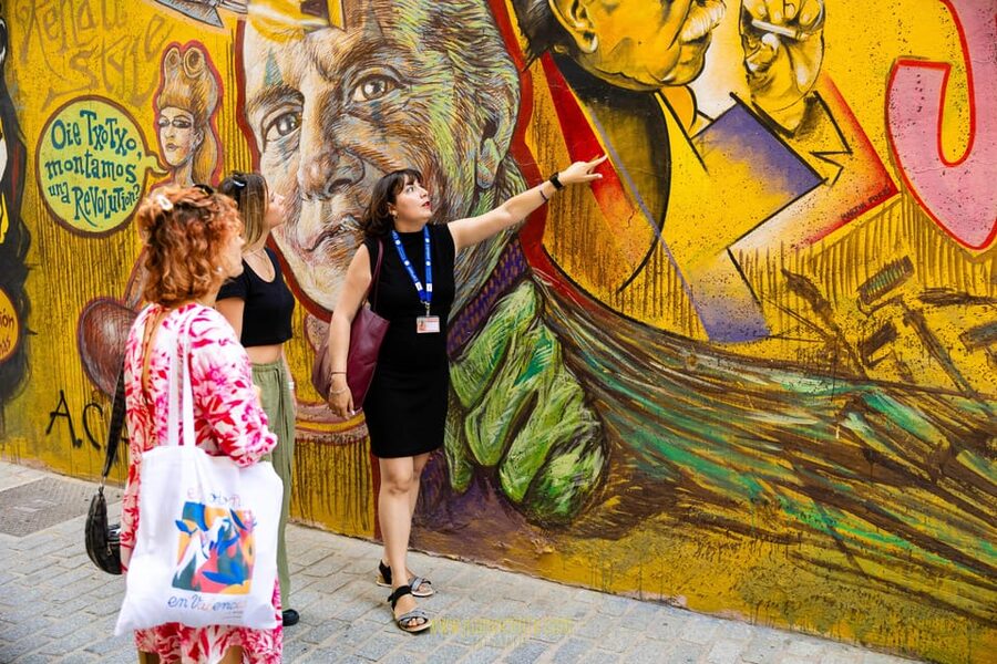 Best Street Art in Valencia Walking Tour - Barrio del Carmen: Hidden Murals and the Techniques Behind Them