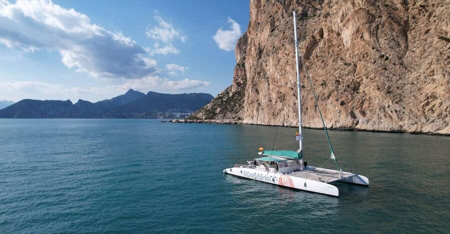 Calpe: Catamaran Tour with Optional Swim Stop - The cruise portion: sun, coastline views, and spotting sea life
