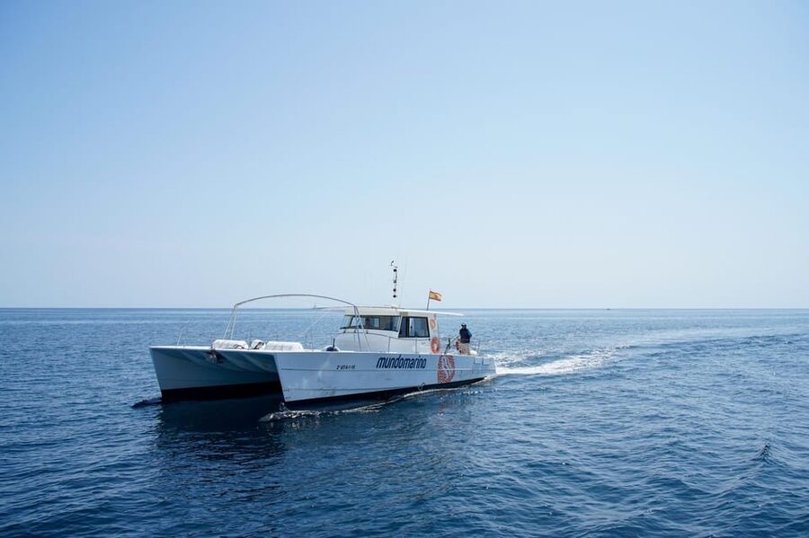 Calpe: Catamaran Tour with Optional Swim Stop - What happens after you meet your guide in Calpe