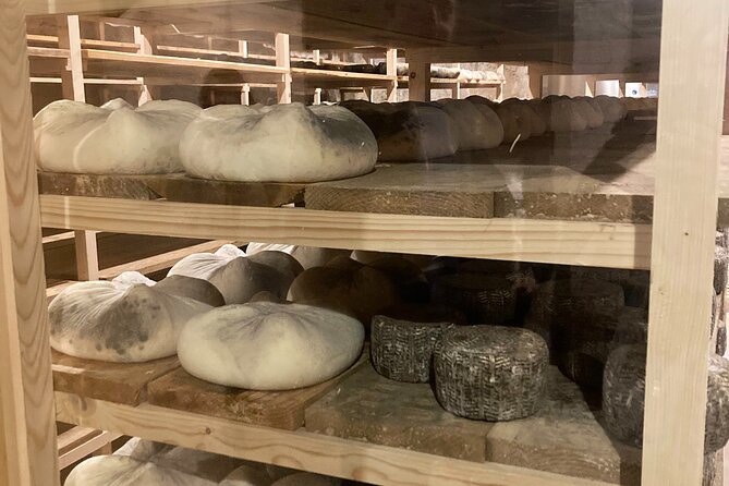 Cheese Factory Workshop with Wine Tasting in Requena, Valencia - Utiel-Requena in one day: vineyards, caves, and two tastings
