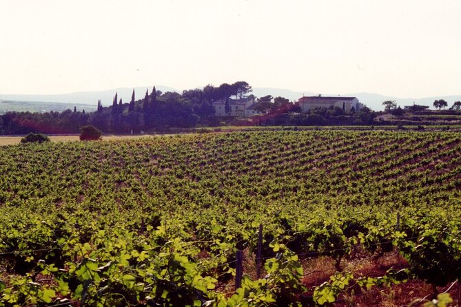 Cheese Factory Workshop with Wine Tasting in Requena, Valencia - Vera de Estenas Winery hills: Edu’s guided 3-wine tasting plus cold cuts