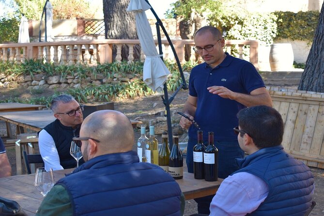 Cheese Factory Workshop with Wine Tasting in Requena, Valencia - Price and value for $114.70: what you are really paying for