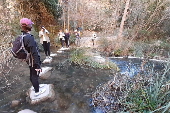 Chulilla Hike to the Hanging Bridges from Valencia - Cave paintings and the human side of the canyon