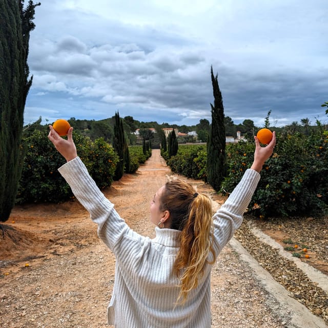 Citrus Treasures: Exploring Valencia's Orange Grove - Entering Valencia’s orange estate in the 1870 modernist house