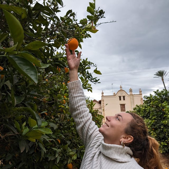 Citrus Treasures: Exploring Valencia's Orange Grove - Guided orchard time, gardens, and the quiet of the estate