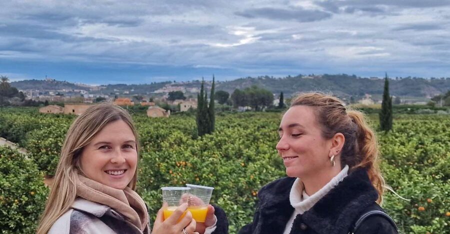 Citrus Treasures: Exploring Valencia's Orange Grove - The tasting that actually teaches you what you’re tasting
