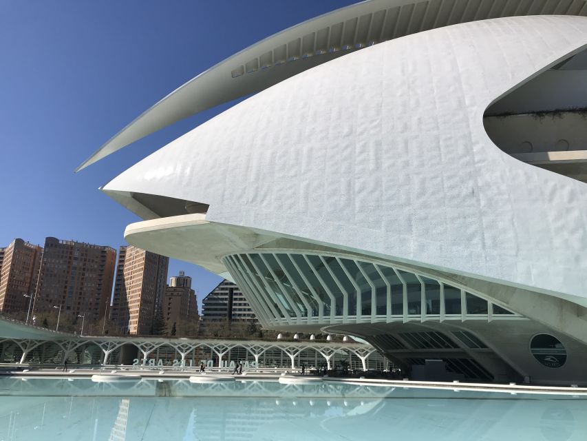 City of Arts & Sciences Tour on Bicycle, E-Bike or E-Step - Key highlights to look forward to