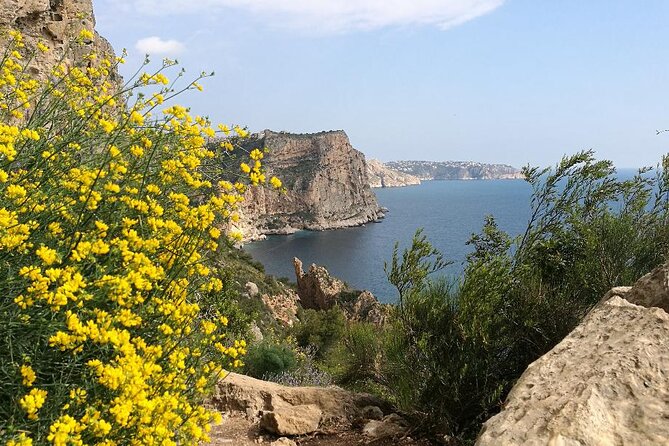Coastal Cliffs & Beaches: Private Full Day Tour - What It Feels Like On the Ground: Shoes, Steps, and Fitness