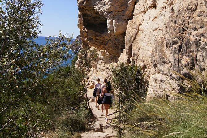 Coastal Cliffs & Beaches: Private Full Day Tour - Who This Tour Fits Best (and Who Might Reconsider)