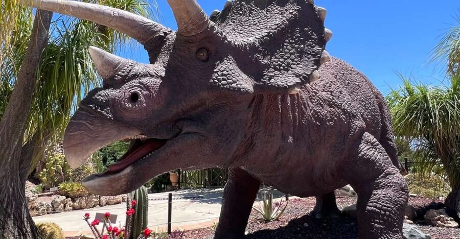 Costa Blanca: DinoPark Algar Entry Ticket - Key highlights to know before you go