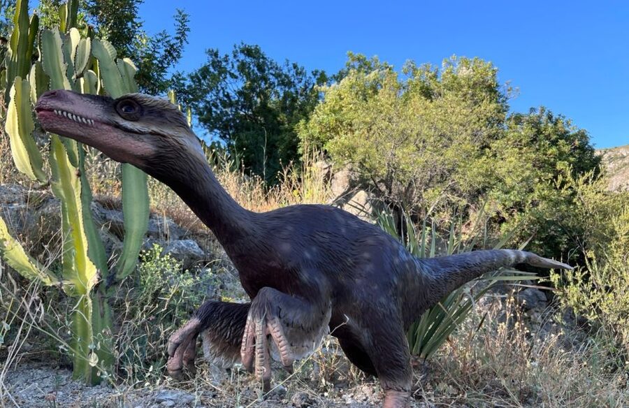 Costa Blanca: DinoPark Algar Entry Ticket - Costa Blanca Dinosaur Fun Near Benidorm, Without the Hassle