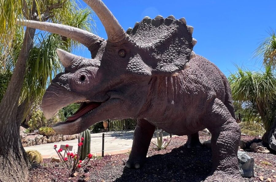 Costa Blanca: DinoPark Algar Entry Ticket - Walking Among Life-Size Dinosaurs That Actually Feel Alive