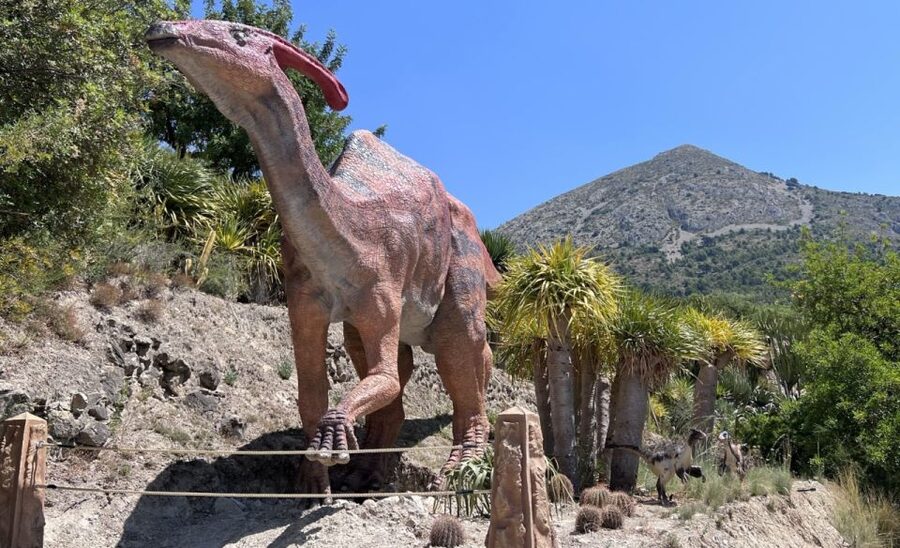 Costa Blanca: DinoPark Algar Entry Ticket - Botanical Cactus Garden: A Calmer Walk for Adult Breathers