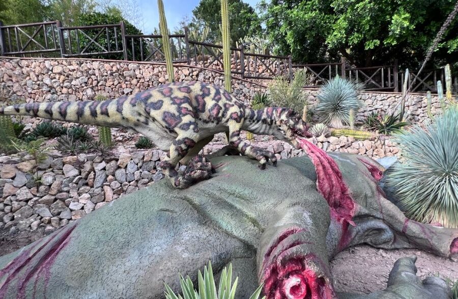 Costa Blanca: DinoPark Algar Entry Ticket - Entry Ticket Value and What Your $21 Buys You