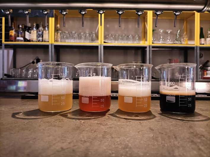 Craft Beer Tasting and tapas in Valencia - Key highlights to expect