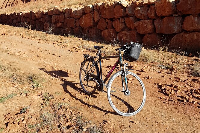 Daily Bike Rental Valencia - Price and Value: What $13.25 Gets You, and What Costs Extra