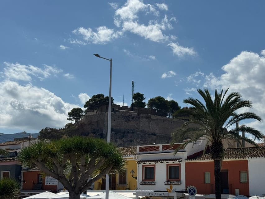 Denia and Mediterranean Gardens Day Trip - Timing and Coach Logistics: A Day That Moves, Without Feeling Rushed