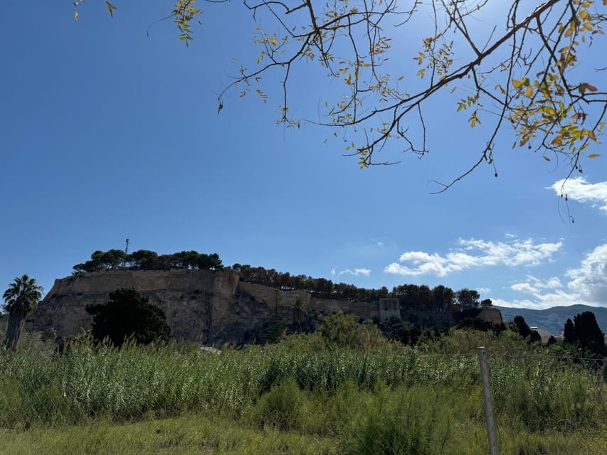 Denia and Mediterranean Gardens Day Trip - FAQ
