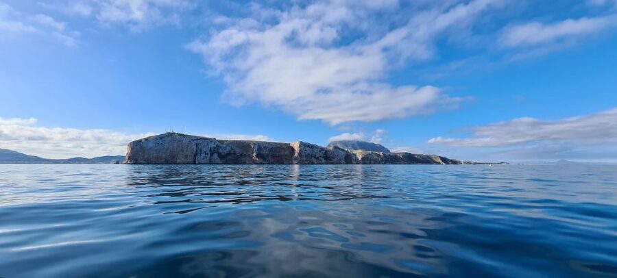 Denia: Cabo San Antonio Snorkeling Tour - Key things you will notice on this Cabo San Antonio snorkeling tour