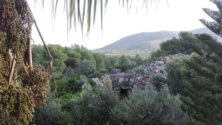 Denia: L'Albarda Garden Entry Ticket - Who this Denia day trip suits best