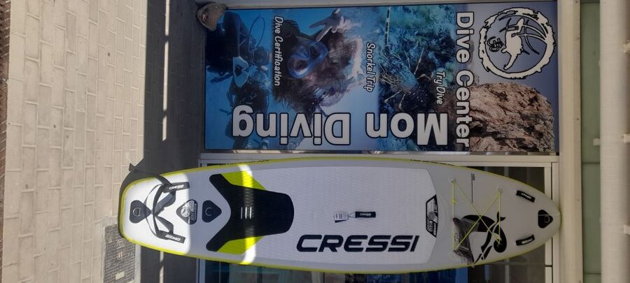 Dénia: Paddle Surfboard Rental - Your 1-Hour Session: What You’re Really Doing Out There