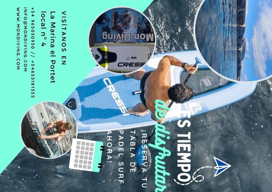 Dénia: Paddle Surfboard Rental - Booking Smart: What to Watch Before You Go