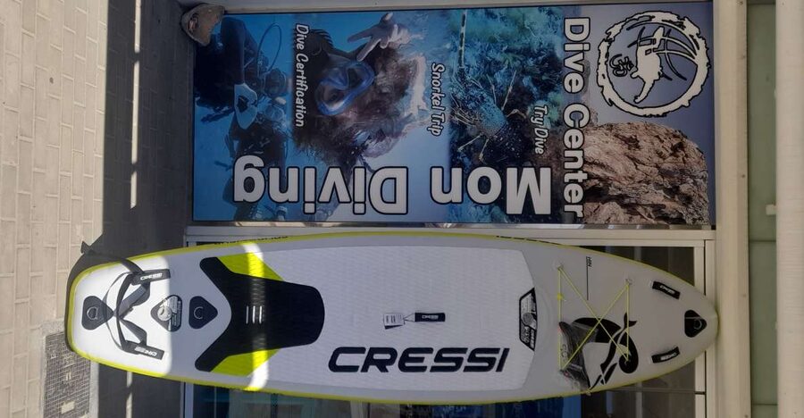 Dénia: Paddle Surfboard Rental - Getting Started at the Port, Meeting the Team