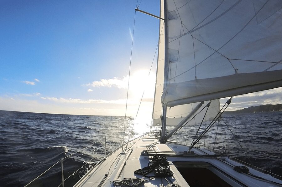 Denia: Sunset Electric Sailboat Cruise with Dolphin Spotting - Key highlights you should know before you go