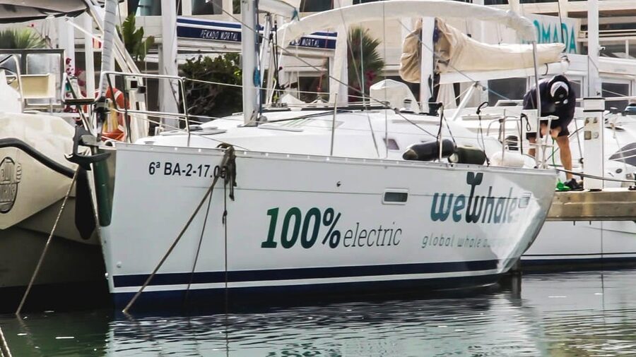 Denia: Sunset Electric Sailboat Cruise with Dolphin Spotting - What you actually do on board (and what to listen for)