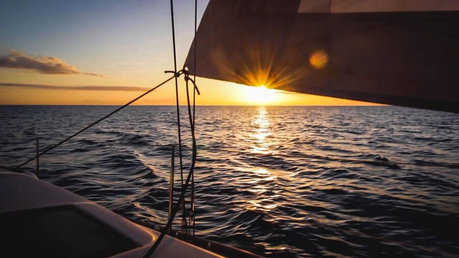 Denia: Sunset Electric Sailboat Cruise with Dolphin Spotting - Dolphins and fin whales: how to set the right expectations
