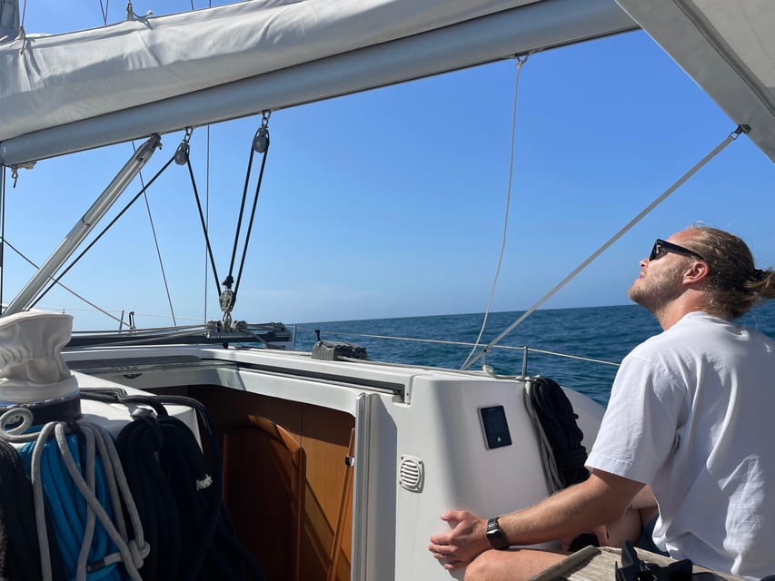 Denia: Whale and Dolphin Watching Morning Experience - Key points to know before you go