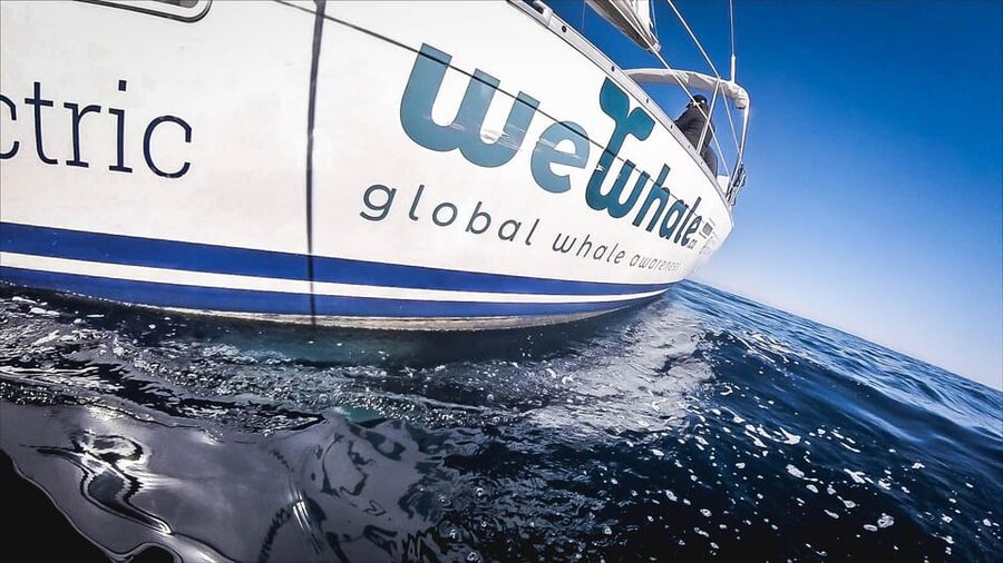 Denia: Whale and Dolphin Watching Morning Experience - Who This Denia Whale and Dolphin Morning Trip Fits (and Who Should Skip It)
