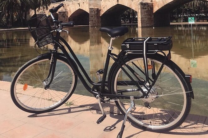 E-Bike Grand Valencia Private Tour - Jardi del Turia: the park ride that turns the city into a moving museum