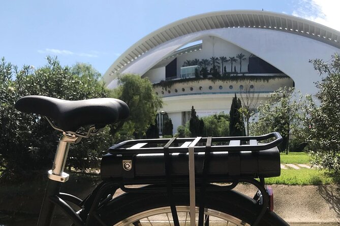 E-Bike Grand Valencia Private Tour - Platja de la Malva-rosa: a beach stop that resets your energy