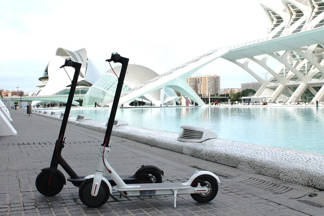 Electric Scooter Rental - Key things to know before you go