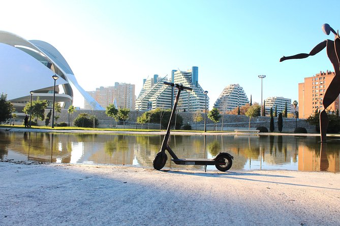 Electric Scooter Rental - Price and value: $10.81 per person plus an important insurance catch
