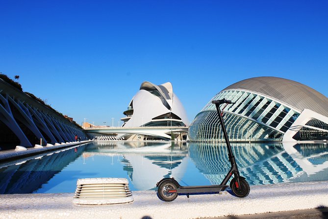 Electric Scooter Rental - The staff factor: why Mora and Megi show up in the feedback
