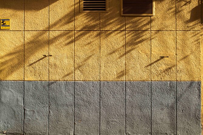 Excellent Private Photography Walking Tour & Workshop in Valencia - Price and value for a 3-hour private photography workshop