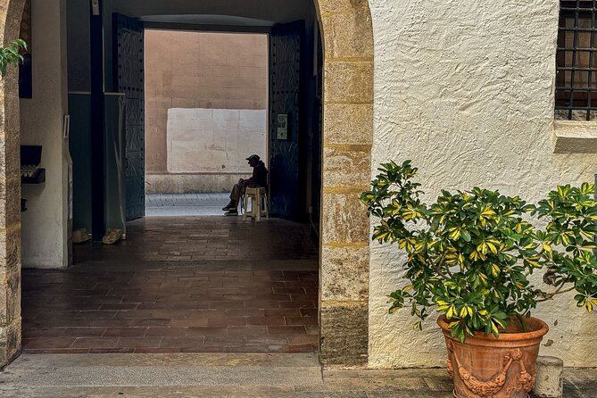 Excellent Private Photography Walking Tour & Workshop in Valencia - What to expect on the ground, and what to bring
