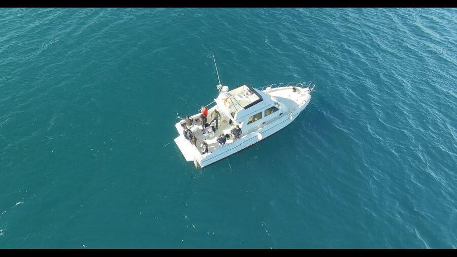 Fishing Trip all included - Where You Start in Torrevieja, Marina Salinas