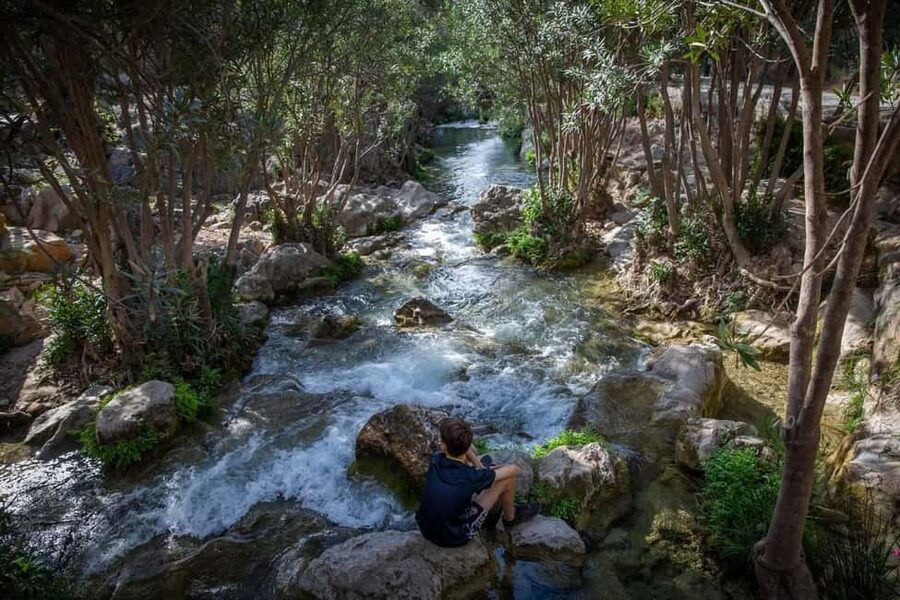 From Alicante and Benidorm: Famous Algar Fountain Tour. Private transportation - Key highlights worth your time