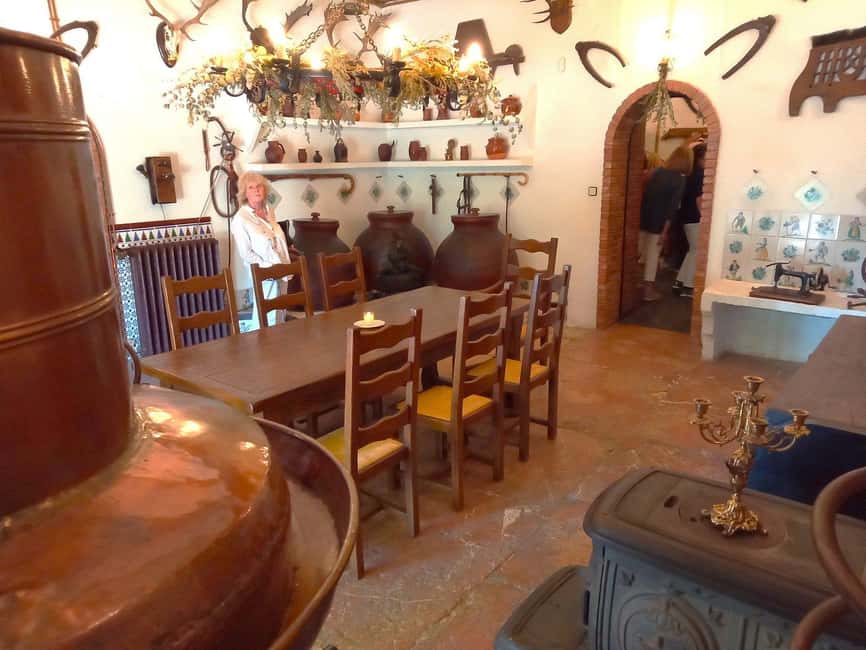 From Alicante and Elche: Guided tour for vineyard and winery with tasting - Who this tour suits best (and who should look elsewhere)
