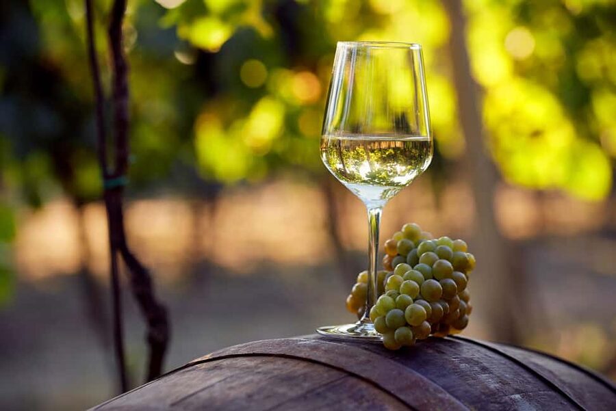 From Alicante and Elche: Guided tour for vineyard and winery with tasting - Entering a 1707 estate: what makes this winery tour special