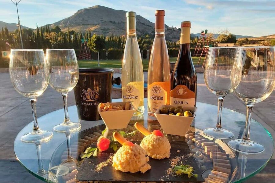 From Alicante and Elche: Guided tour for vineyard and winery with tasting - Food options at the winery: stay for lunch, but plan for extra cost