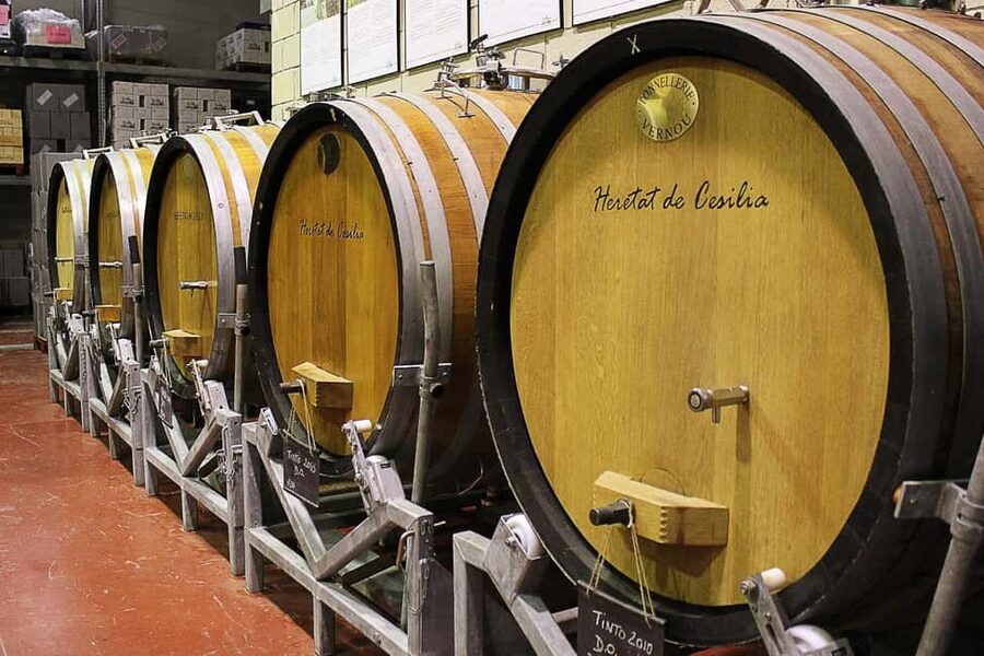 From Alicante: Premium visit to the winery. The best of our wines. - Inside the Winery: From Vineyard Work to a Bottle Ready for Sale