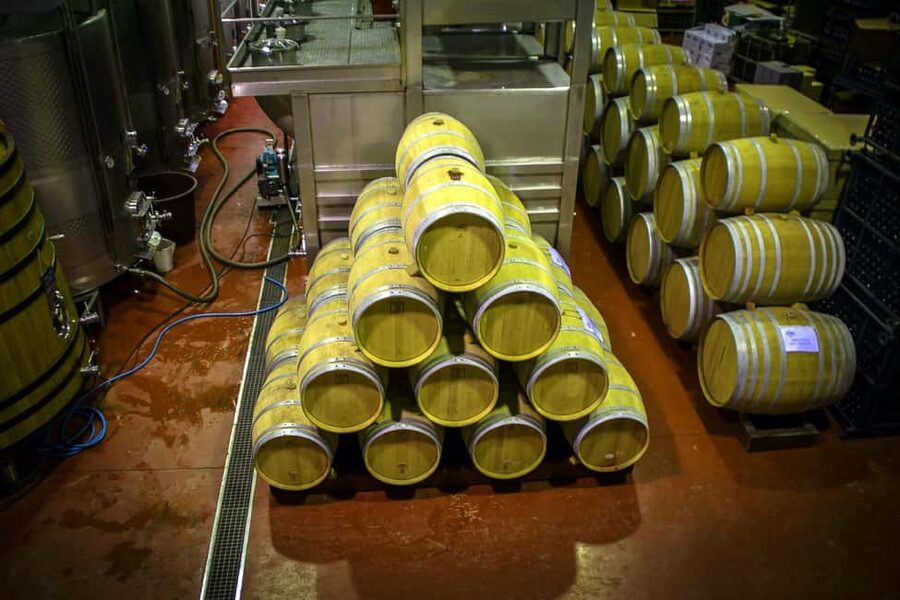 From Alicante: Premium visit to the winery. The best of our wines. - What I’d Take Away: The Most Praised Parts That Matter to You