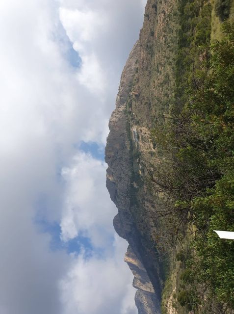 From Alicante: to the caves in Europe, Canelobre. Gidovik - Busot Fortress ruins and olive plantation views