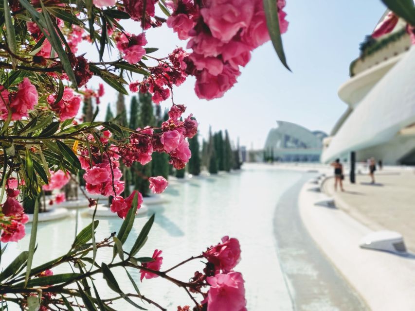 From Alicante: Valencia Full-Day Guided Tour - Old Valencia Streets, Orange Blossom Vibes, and How the Guide Keeps It Moving