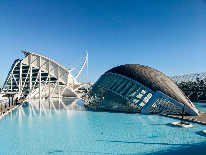From Alicante: Valencia Full-Day Guided Tour - Lonja de la Seda, Torres de Serranos, and Valencia’s Civil Strength