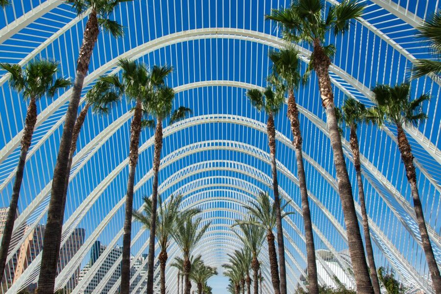 From Alicante: Valencia Full-Day Guided Tour - Price and Logistics: Is $170 per Person Fair for 7 Hours?